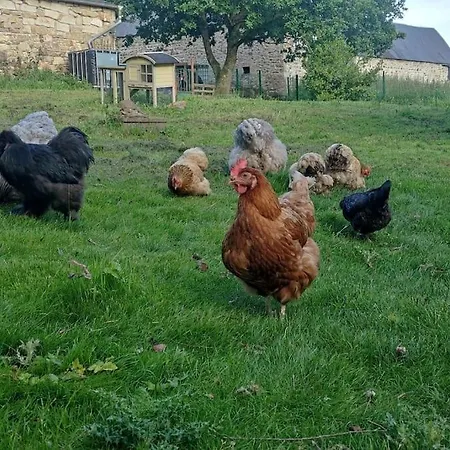 Holiday home De La Petite Ferme Bretonne Louargat